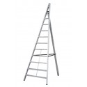 Gierre Trittika aluminium ladder for agriculture, 10 rungs, 100 kg max load