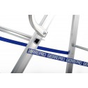 GierrePro professional aluminium stepladder, 10 steps, 150 kgs max load