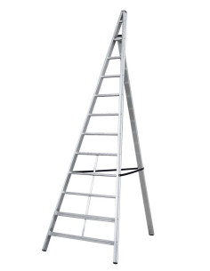 Gierre Trittika, aluminium ladder for agriculture, 6 rungs, 100 kgs max load 2