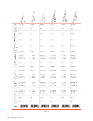 Gierre Modula 3 section extending ladder light