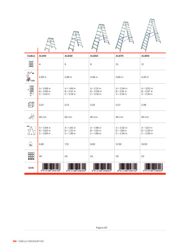 Scala doppia salita professionale | Gierre