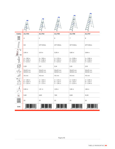Scala doppia professionale | Gierrepro