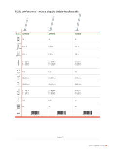 Scale Singole Professionali 2