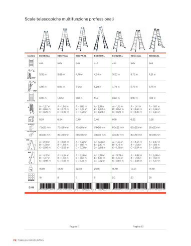 Professional telescopic multifunction ladder | GierrePro